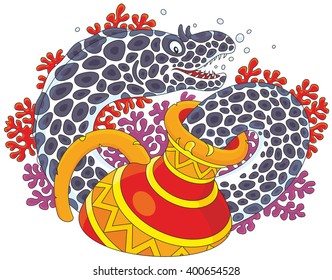 Morey eel swimming out of an old jug on a coral reef