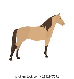 Morgan horse color vector icon. Flat design