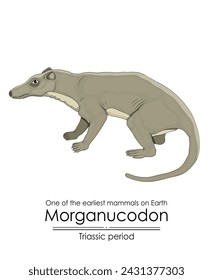 Morganucodon, one of the earliest mammals on Earth and the ancestor of all mammals, appeared during the Triassic period, colorful illustration on a white background