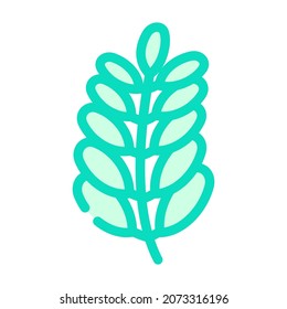 moringa bio vitamin food color icon vector. moringa bio vitamin food sign. isolated symbol illustration