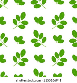 Moringa. Branch and leaves. Seamless pattern. Vector background.