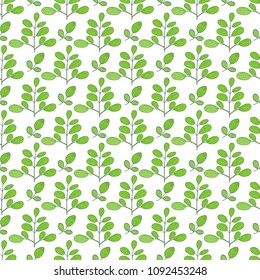 Moringa. Green leaves, branches. Background, wallpaper, seamless. Sketch.