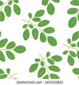 La moringa verde deja un patrón sin fisuras. Ilustración vectorial de la rama de moringa oleifera aislada sobre fondo blanco. Icono de supercomida en estilo plano de caricatura.