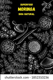Moringa hand drawn sketch. Organic healthy food. Moringa leaves, plant, powder, seed. Super food hand drawn sketch. Vector illustration. Black and white
