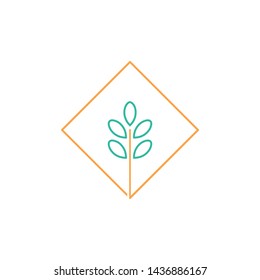 moringa icon symbol vector logo design illustration