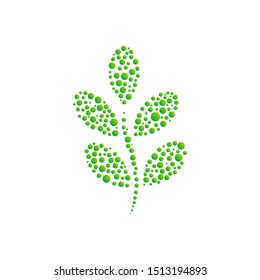 moringa leaf dots design vector