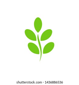 Moringa Leaf Icon Symbol Vector Stock Vector (Royalty Free) 1436886536 ...