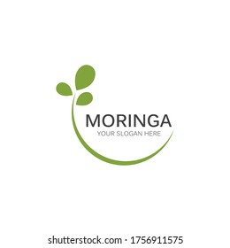 Moringa Leaf Illustration Vector Design