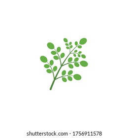 Diseño vectorial de ilustración de hoja de moringa