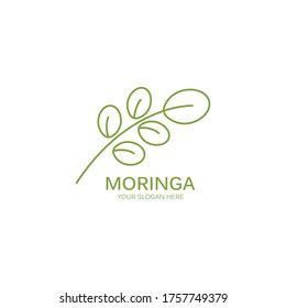 Moringa Leaf Illustration Vector Design