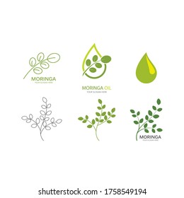 Diseño vectorial de ilustración de hoja de moringa