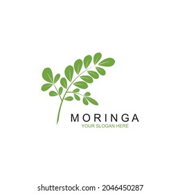 Moringa Leaf Illustration Vector Design