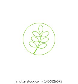 moringa leaf logo design vector