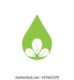 Moringa leaf logo illustration vector design