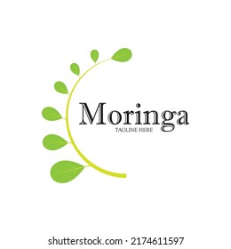 Moringa-Blatt-Logo-Illustration, Vektordesign