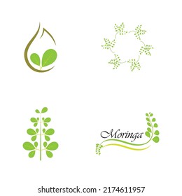 Diseño vectorial del logotipo de la hoja de moringa