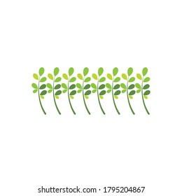 Moringa leaf Logo Template vector symbol nature