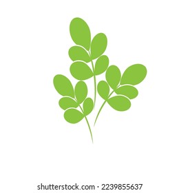 Moringa Leaf Logo Template Vector Symbol Nature