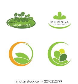 Moringa Leaf Logo Template Vector Symbol Nature