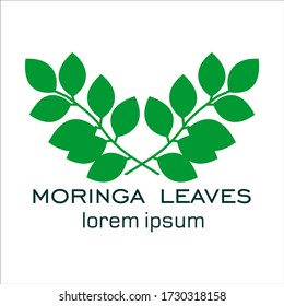 Moringa leaf logo vector illustration. healthy detox natural products