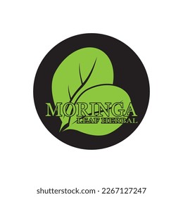 moringa leaf nature icon vector illustration template design