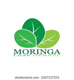 moringa leaf nature icon vector illustration template design