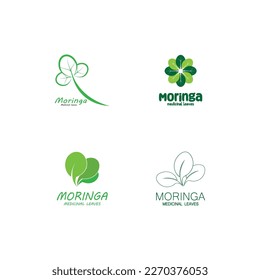 moringa leaf nature icon vector illustration template design