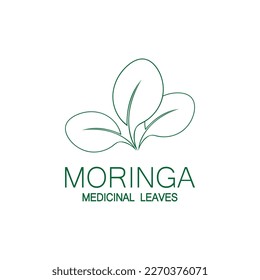 diseño de ilustraciones vectoriales del icono de la hoja de moringa