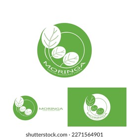 moringa leaf nature icon vector illustration template design