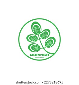 diseño de ilustraciones vectoriales del icono de la hoja de moringa