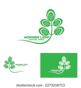 moringa leaf nature icon vector illustration template design