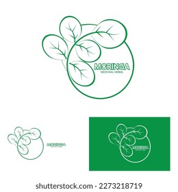 moringa leaf nature icon vector illustration template design