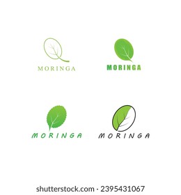 moringa leaf nature icon vector illustration template design