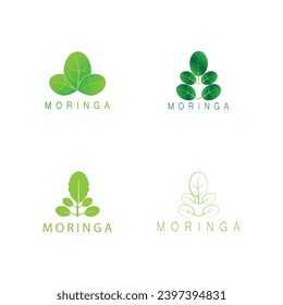 diseño de ilustraciones vectoriales del icono de la hoja de moringa