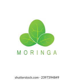 moringa leaf nature icon vector illustration template design