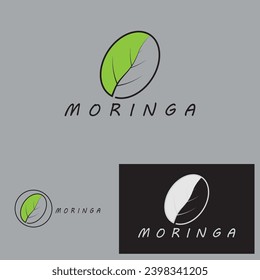 moringa leaf nature icon vector illustration template design