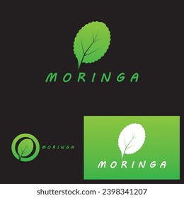 moringa leaf nature icon vector illustration template design