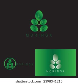diseño de ilustraciones vectoriales del icono de la hoja de moringa
