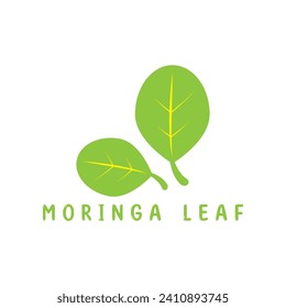 moringa leaf nature icon vector illustration template design