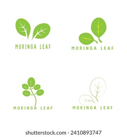 moringa leaf nature icon vector illustration template design