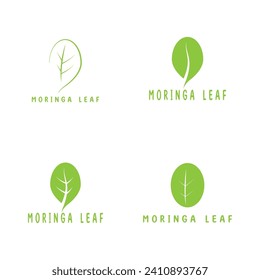 moringa leaf nature icon vector illustration template design