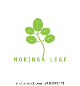 moringa leaf nature icon vector illustration template design
