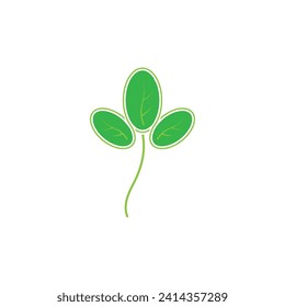 moringa leaf nature icon vector illustration template design