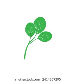 moringa leaf nature icon vector illustration template design