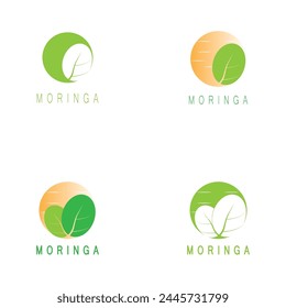 moringa leaf nature icon vector illustration template design