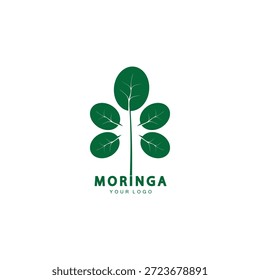 moringa Blatt Natur Symbol Vektorgrafik Template Design