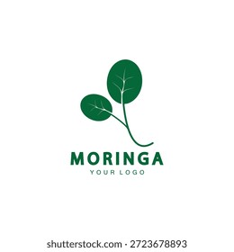 moringa folha ícone natureza vetor ilustração modelo design
