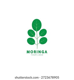 moringa folha ícone natureza vetor ilustração modelo design