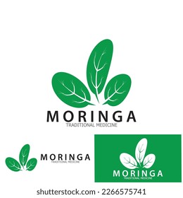 moringa leaf tradicional medicine icon vector illustration template design