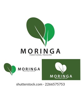 moringa leaf tradicional medicine icon vector illustration template design